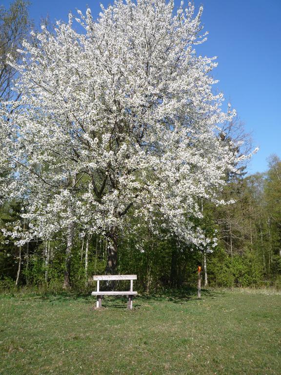Valle Vandrarhem Axvall Екстериор снимка