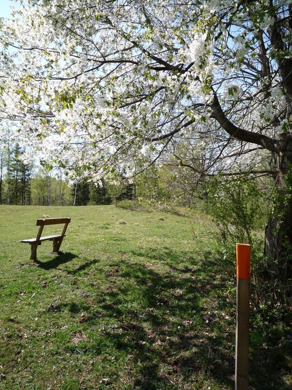Valle Vandrarhem Axvall Екстериор снимка